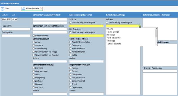 Schmerzprotokollwert